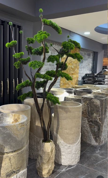Bonsai ve Yapay Ağaçlar — 31