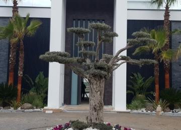 Whatsapp Image 2021 07 03 At 12.51.01 2