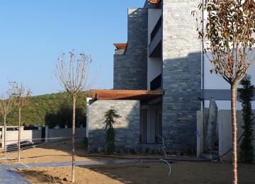 Whatsapp Image 2021 07 03 At 12.51.03