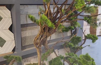 Dogal Tas Saks Yapay Agac 0010