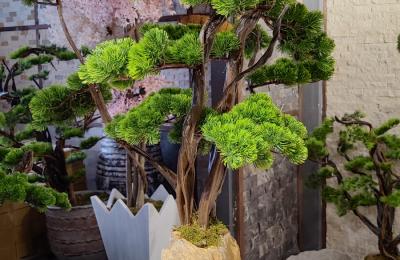 Dogal Tas Saks Yapay Agac 0013