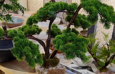 Dogal Tas Saks Yapay Agac 0019